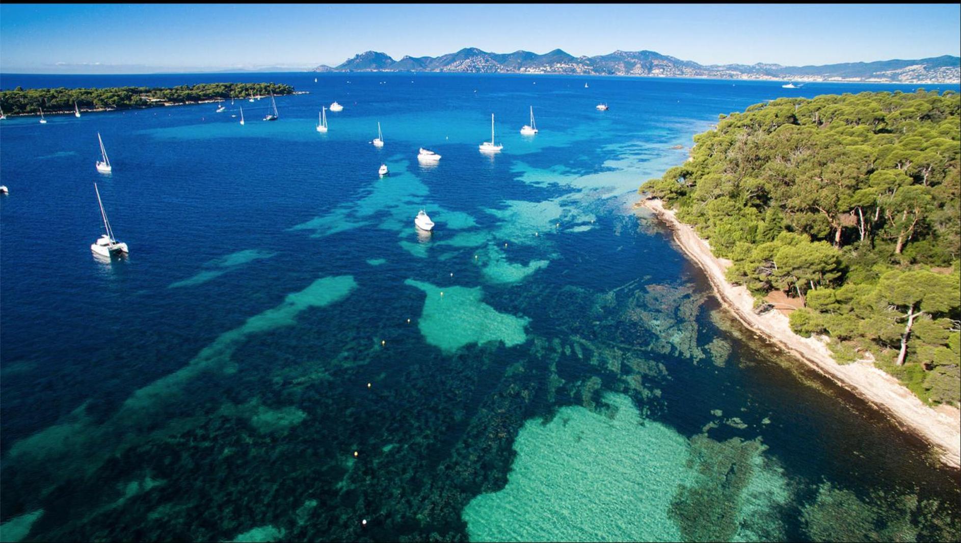 Le Bristol Apartman Cannes Kültér fotó